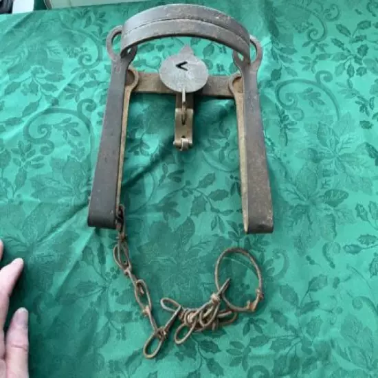 Vintage Victor Trap with Teeth and chain