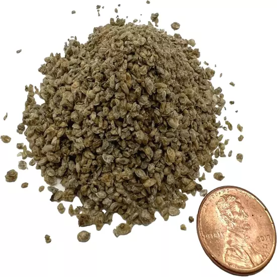 Freeze Dried Daphnia 0.5 oz, Fish Food for Freshwater and Marine Aquarium Fish, 