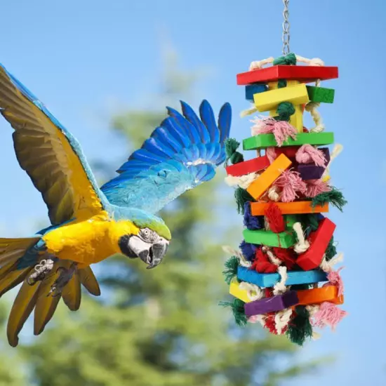 2 Pack Block Knots 9.7 inch Multicolored Natural Wooden Parrot Chewing Toy