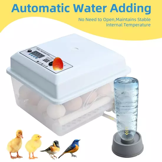 YaeCCC Egg Incubator, Automatic Egg Hatching Incubator Temperature Control fo...