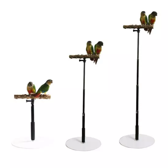 Stable Bird Parrot Training Exercise Adjustable Playstand Cage DD