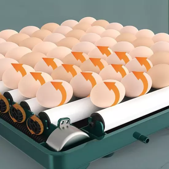 ✅ Egg Incubator for Hatching Egg Full Automatic Turning Duck Chicken Quail Egg