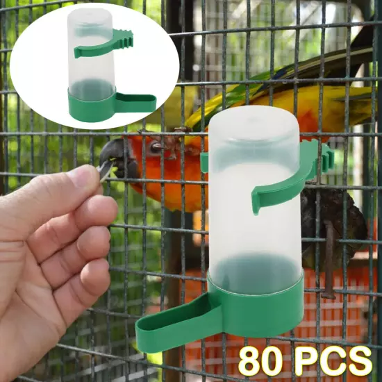 80Pcs Automatic Feeder Parrot Waterer Bird Water Feeder Pigeon Drinker Drinker