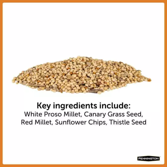 Premium 10 lb Wild Finch Bird Seed Food Millet Sunflower Chips Thistle See Blend