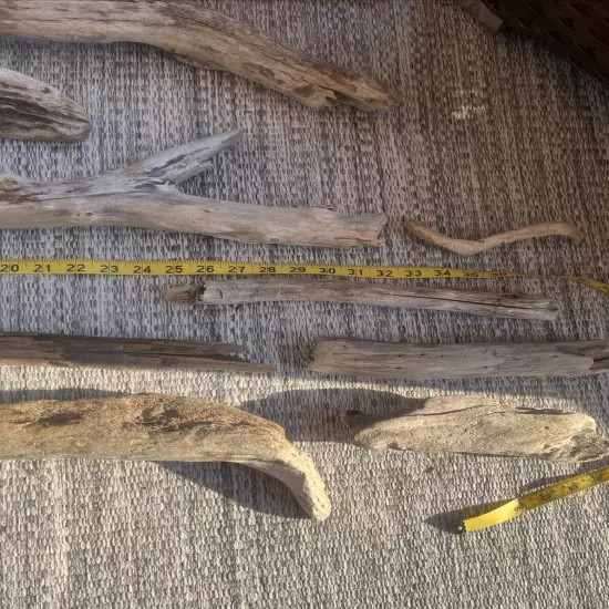 Taxidermy Natural Driftwood Lot of 15 Aquarium Reptile Fish Tank Lake Erie