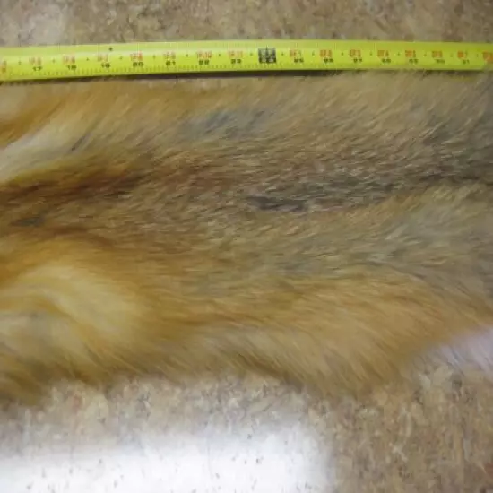 Tanned Red Fox Hide Coats Taxidermy #00004261 Row A-8