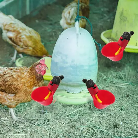 Automatic Feeder Poultry Water Drinking Cups for Poultry Chicken Hen Birds *