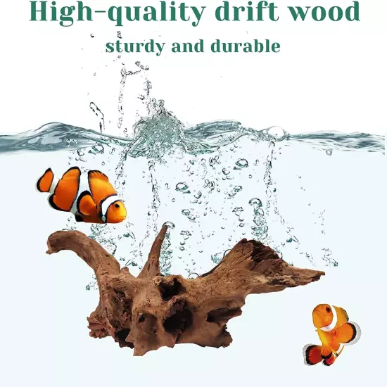 Natural Large Driftwood for Aquarium Fish Tank Decorations Assorted Branches ...