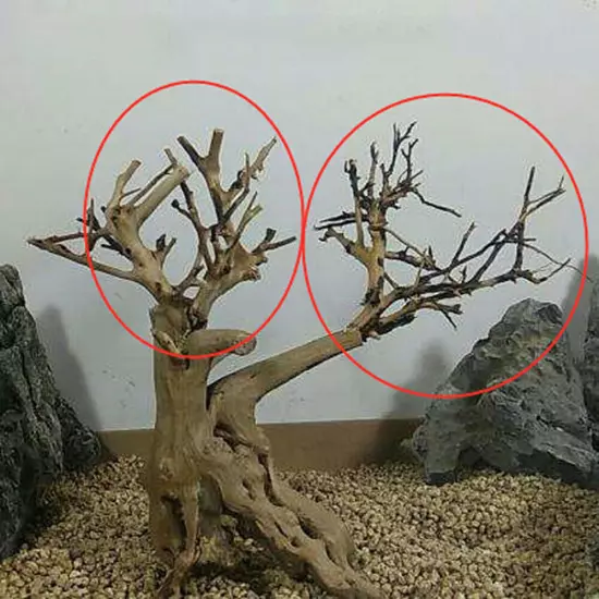 Mini Driftwood Aquarium Moss Tree Small Plant Branches Fish Tank Landscape Craft