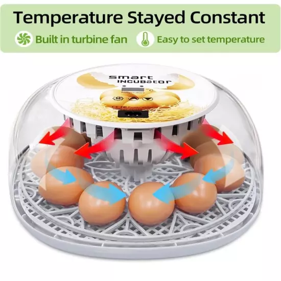 Incubator for Hatching Eggs 12-24 Eggs Incubator with Automatic Egg Turning and