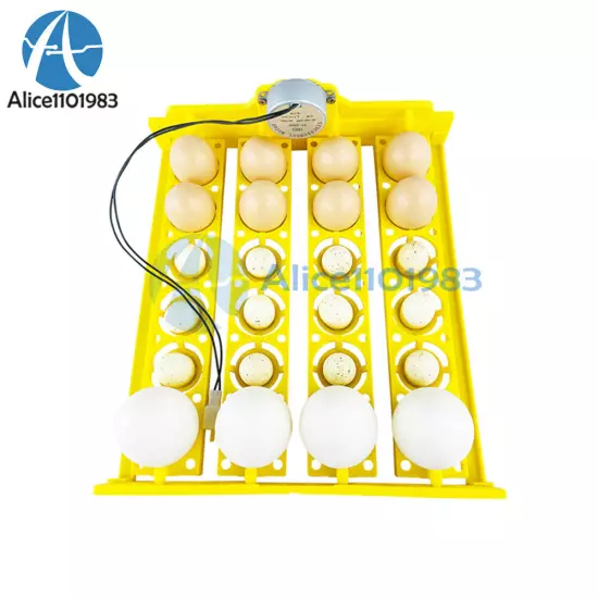 24 Eggs Basket Type Incubator Egg Tray Small Incubator Accessories 110V/220V