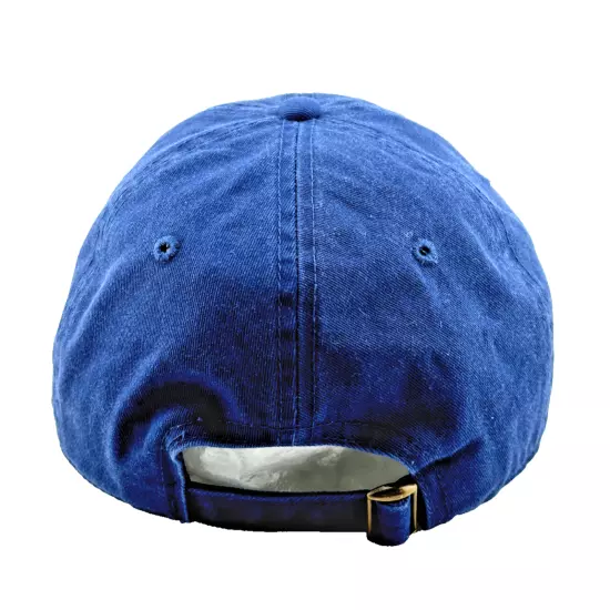 Adult GO CAP Blue - OSFM - Adjustable