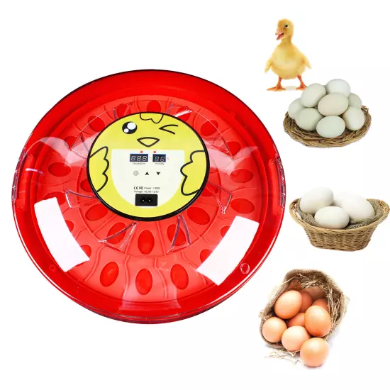 30-Egg Automatic Egg Hatcher Egg Turning System Mini Digital Egg Incubator