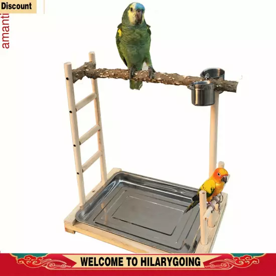 Parrot Wood Stand Game Playing Stick Frame Stick Frame Bird Training Tree Toy