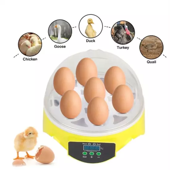 Poultry Egg Incubator with 7-Egg Capacity for Chicken & Duck Hatching