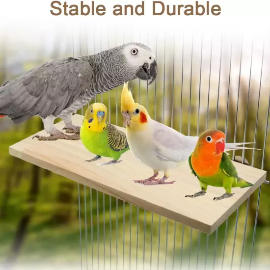 Parrot Bird Wood Perch Platform Large Stand Shelf for Birds 