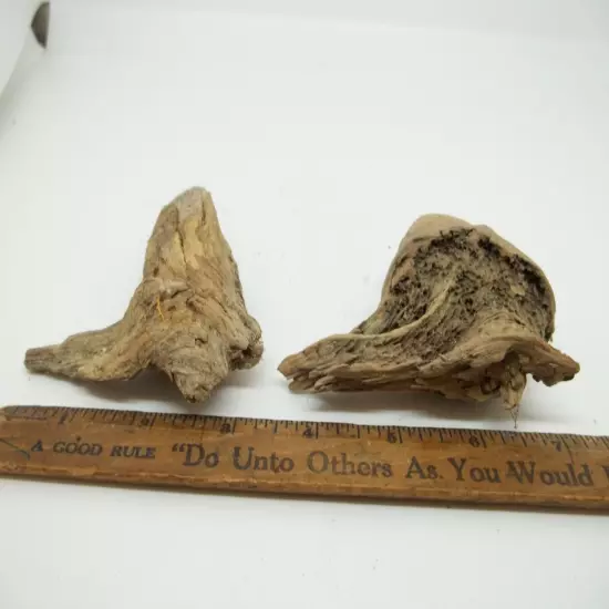 Lot of 2 Natural Driftwood Aquarium Taxidermy Reptile Fish Tank Beach 4"x3"x2"