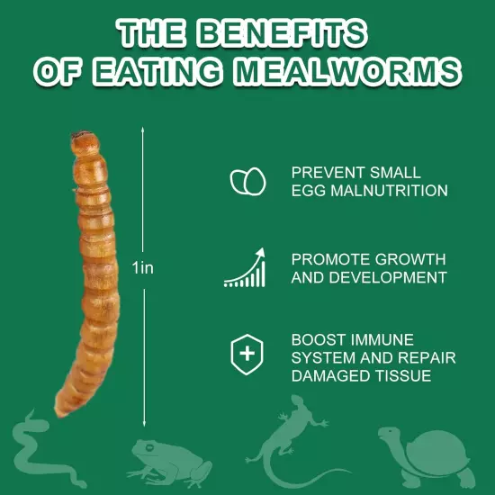 Dried Mealworms Reptile Food 100% Natural - High Protein Pet Meal Worms Food for