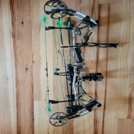 Two Compound Bows