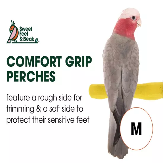 Comfort Grip Safety Perch for Bird Cages - Pedicure Perch for Birds to Keep N...