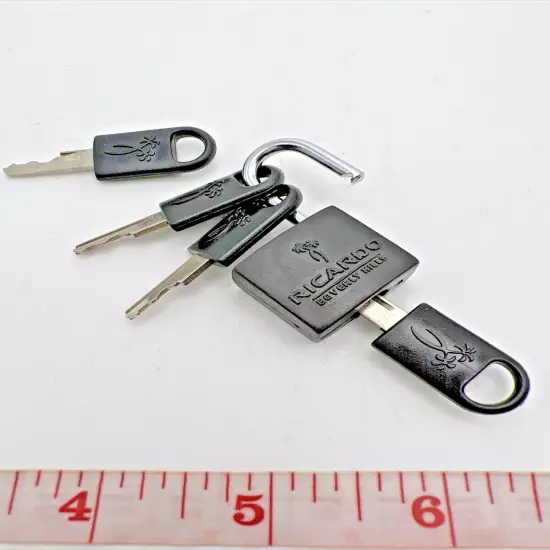 Ricardo Of Beverly Hills Lock and Keys Luggage Lock Pair with Spare Keys