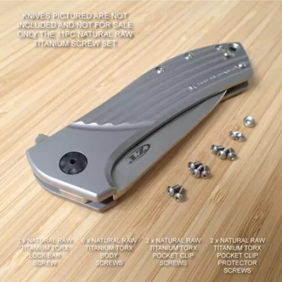 Zero Tolerance ZT0801 801 ZT0801TIBLU 0801 ZT 11PC Titanium Screw Set RAW Ti