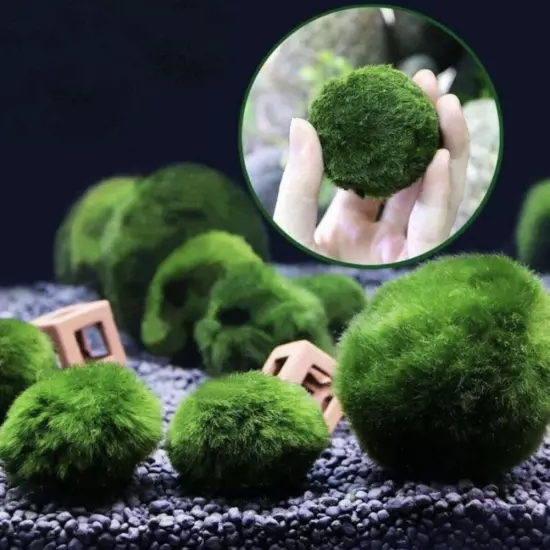 Aquarium Landscaping Decoration Green Algae Balls'