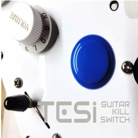 Tesi Switch DITO 24mm Arcade Button Guitar Kill Switch - 25 Colors Available!