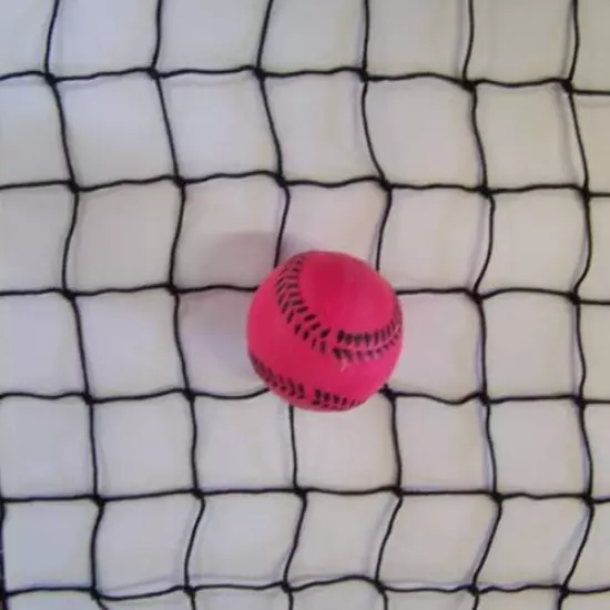 10' x 13' BASEBALL SOFTBALL NETTING HEAVY DUTY BLACK SQUARE NYLON NET 2" #18 