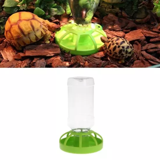 Reptiles Feeder Bowl Amphibians Drinker Bowl Reptiles Feeding Basin Bowl