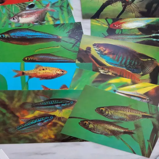 Vintage Antique Aquarium TetraMin Fish Food 12 Lot Set Tropical Fish Postcards