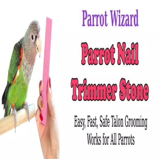 Parrot Nail Trimmer Stone from Parrot Wizard - Easy Parrot Claw Grooming