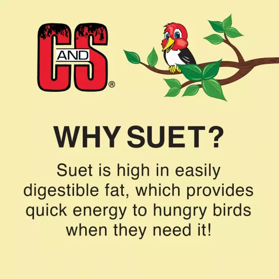 C & S Products No- Melt Suet Dough Woodpecker & Songbird Wild Bird Food, 10 oz-