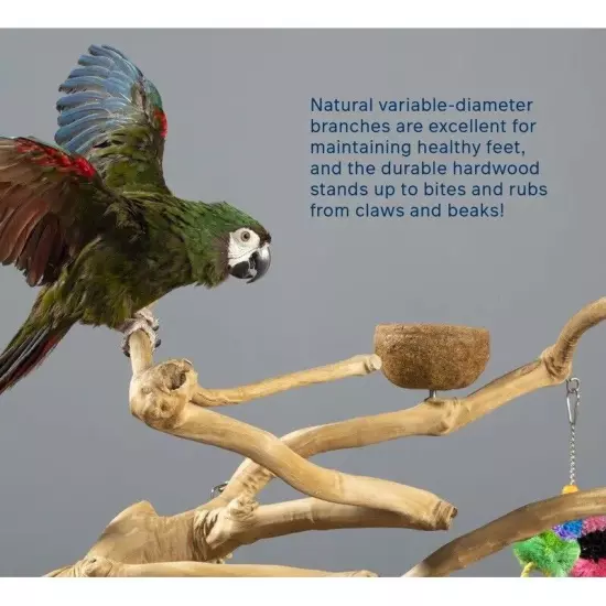 5ft Natural Sustainable Parrot Tree PlayStand / Gym! Macaw,African Grey,Cockatoo