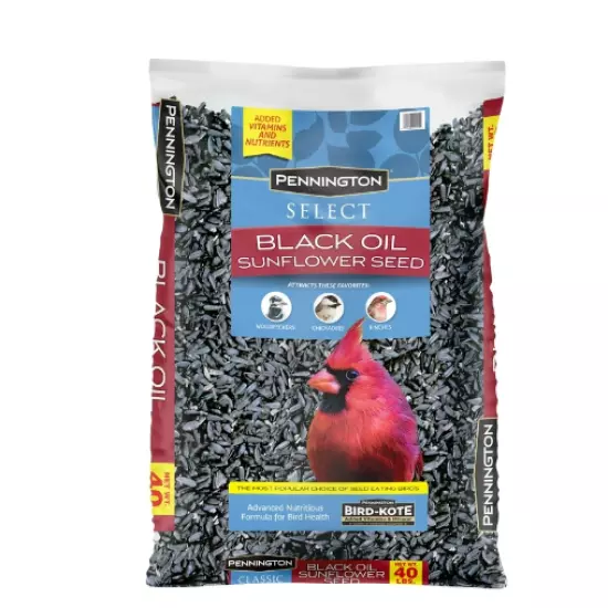 Pennington Select Black Oil Sunflower Seed Dry Wild Bird Feed, 40 lb. Bag, 1 Pac