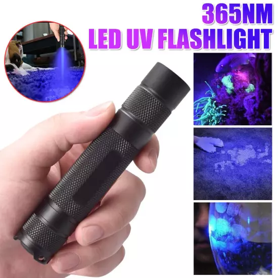 UV Ultraviolet Light Flashlight Black Light 365nm Inspection Lamp Torch IP65