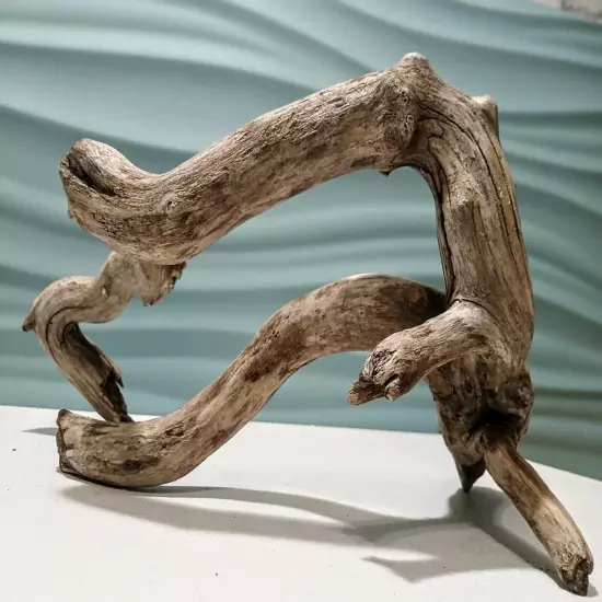 Natural Driftwood Root, Taxidermy, Aquarium, Terrarium, Art/Crafts, Decor