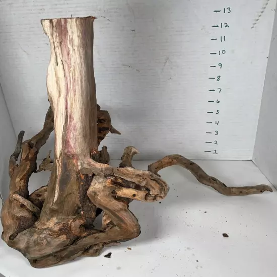 Driftwood Root Taxidermy Beach Lake Mountain Wedding Centerpiece Shower