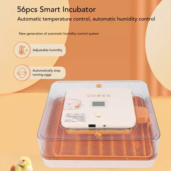 Dual Control Egg Incubator Temperature and Humidity Automatic Incubator for