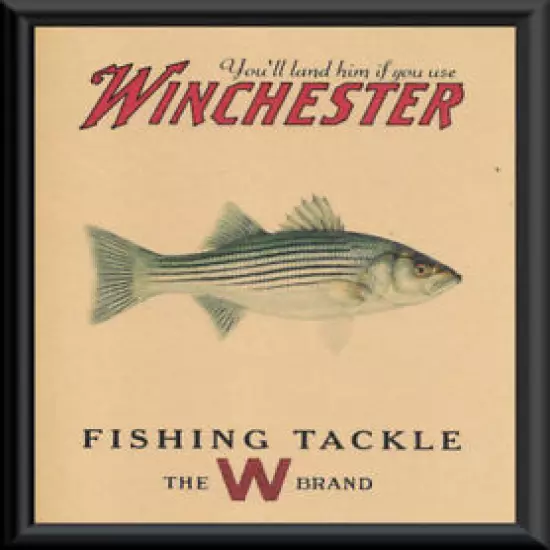 Winchester Striped Bass Rockfish Fishing Ad Reprint On 90 Year Old Paper *P079