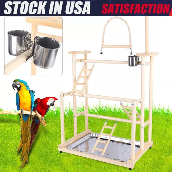 Pet Parrot Playstand Parrots Bird Playground Bird Play Stand Wood Perch Gym Play