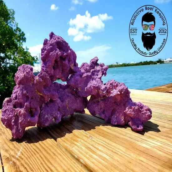 ARK Purple Dry Reef Rock Aragonite Base, Porous Aquariums Live FREE SHIPPING!!!