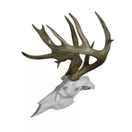 Mountain Mike's Reproductions Skull Master Antler Mounting Or Shed Antlers 2 LB