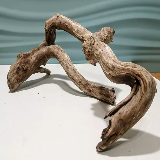 Natural Driftwood Root, Taxidermy, Aquarium, Terrarium, Art/Crafts, Decor