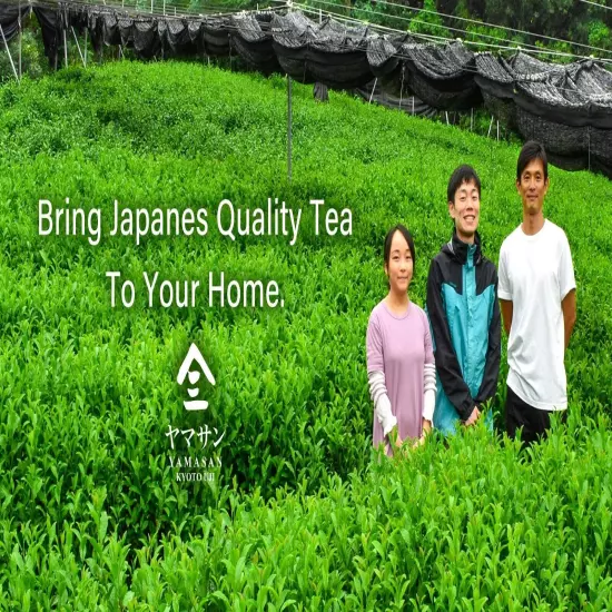 Japanese Organic Sencha Green Tea 1KG From Kyoto Japan YAMASAN Free Shipping