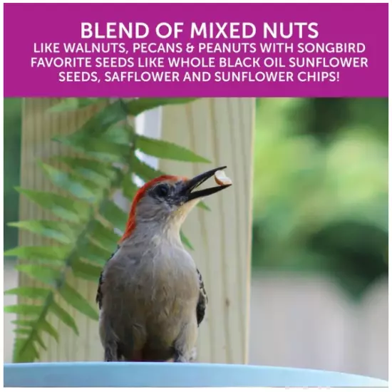 Pennington Ultra Double Nut & Fruit Blend Wild Bird Seed and Feed 10 lb