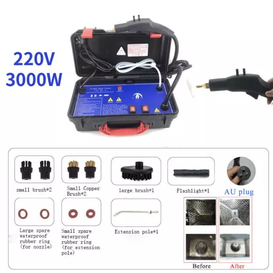 3000W Commercial Powerful Steam Cleaner Car Upholstery Kitchen Cleaning Machine