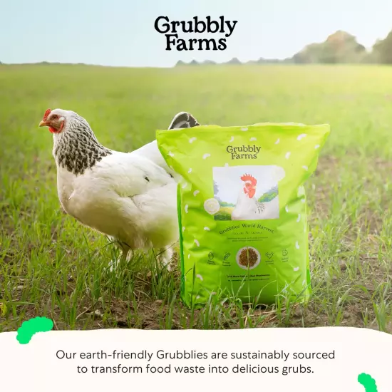 Grubblies - Black Soldier Fly Larvae for Chickens - Nourishing Daily Chicken Tre