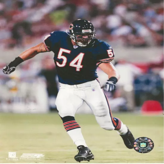 Brian Urlacher Chicago Bears unsigned 8x10 Photo