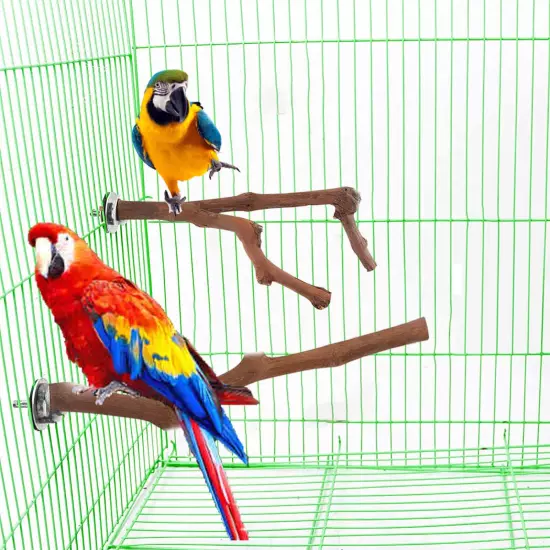 2/4x Bird Perch Stand Natural Grape Wood Bird Cage Perch For Budgie Finch Parrot